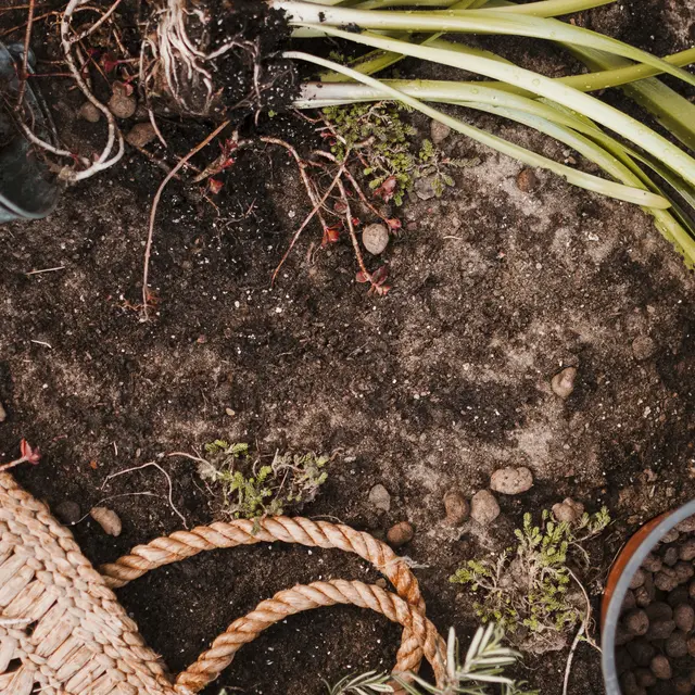 1er cours de permaculture : les vers de terre et leur rôle clé dans la santé des sols_Villeneuve-lez-Avignon