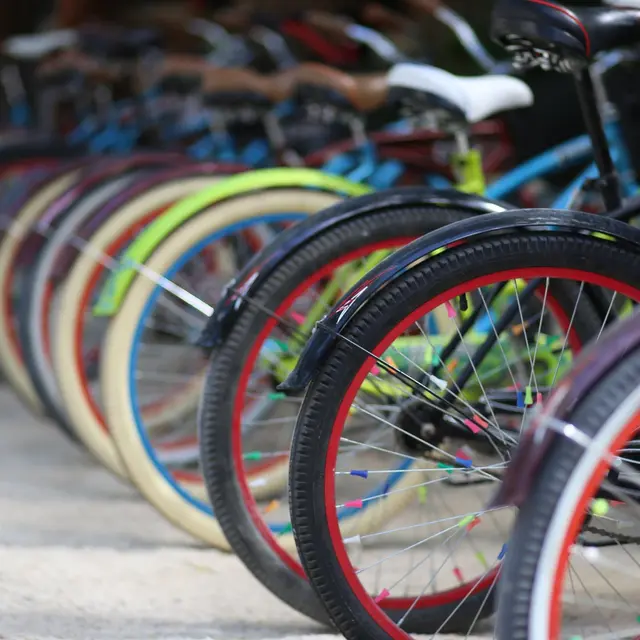 Bourse aux vélos_Feurs
