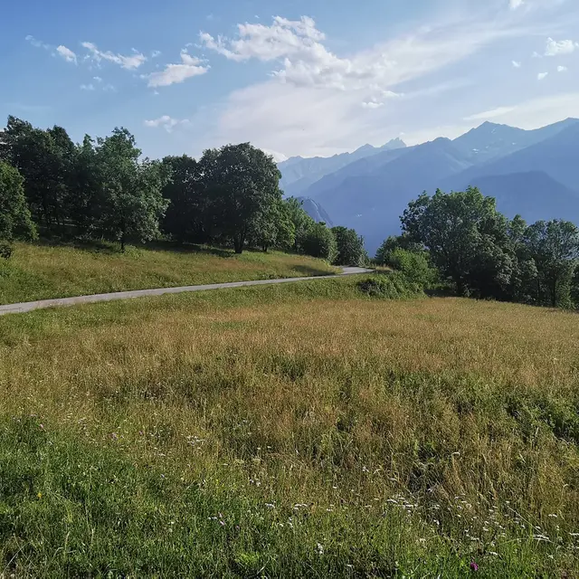 La Perousaz