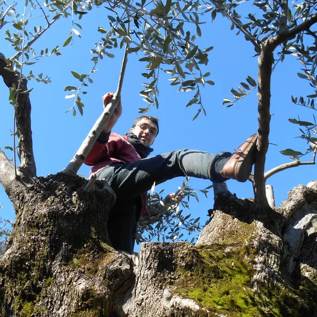 Ferme du Montadaou_Fox-Amphoux