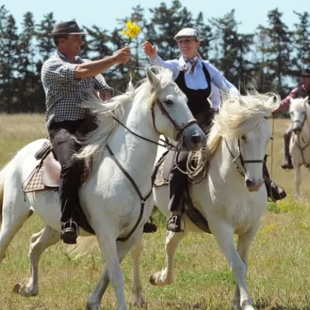 Excursion en Camargue