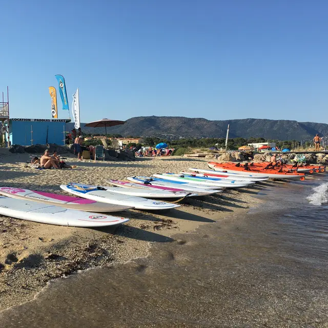 Chez Mister Paddle