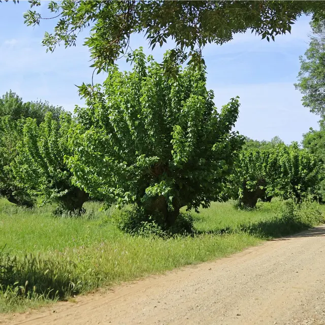 parcours découverte