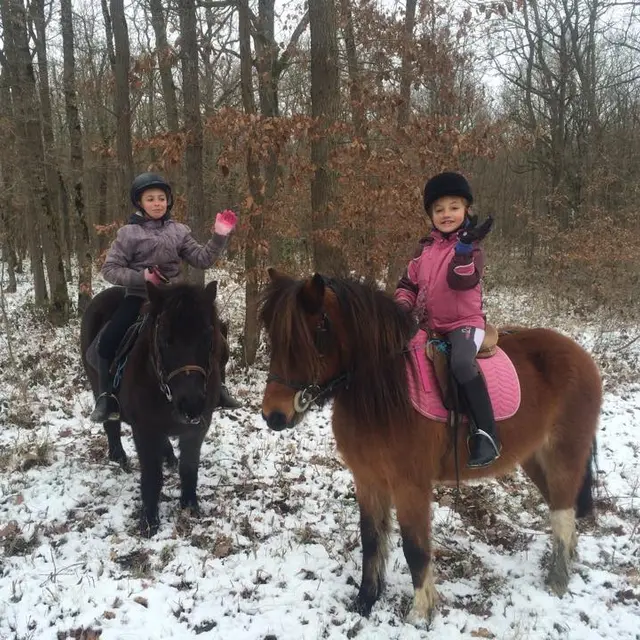 Baptêmes poney