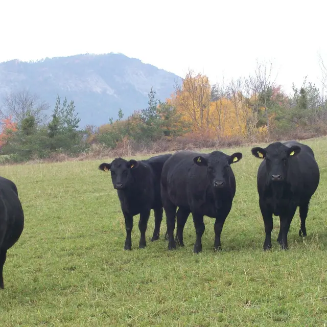 Ferme des Pélissones
