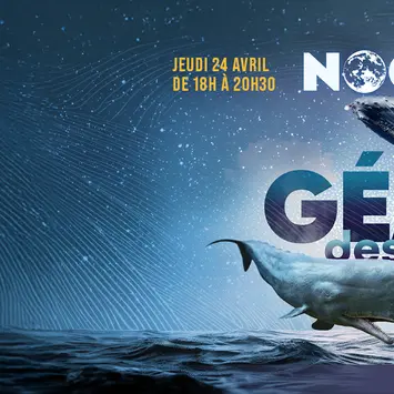 Nocturne Géants des Mers_Nouméa