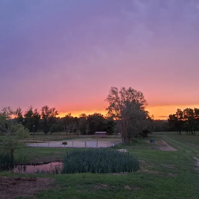 Ecurie de Bordeneuve_Auterive