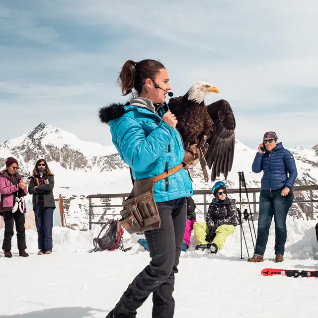 Les Aigles de Val d’Isère_Val-d'Isère