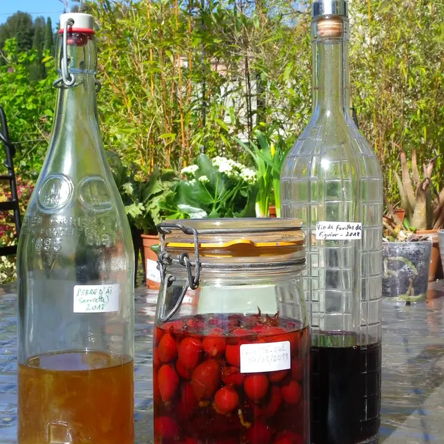 Plantes et recettes paysannes_Montbrun-les-Bains