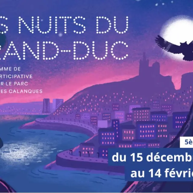 Les Nuits du Gand-Duc_Marseille