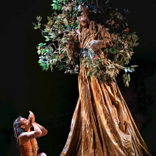 L'enfant de l'arbre_Hyères