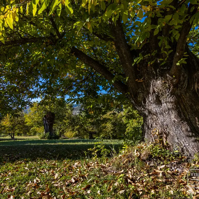 Rendez-vous Pays d'art et d'histoire_Braux