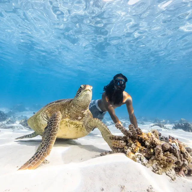 Lgc Photographer_Moorea Maiao
