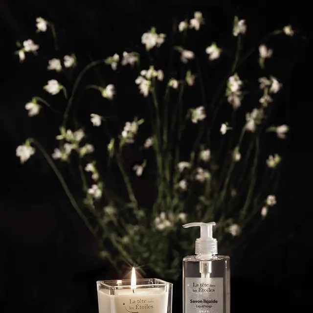 La têtes dans les étoiles