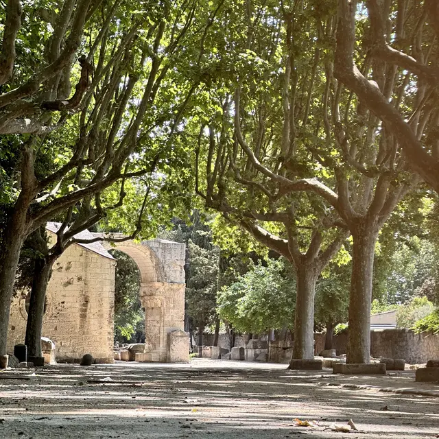 Le Chemin d’Arles - Le pèlerinage de Saint-Jacques de Compostelle_Arles