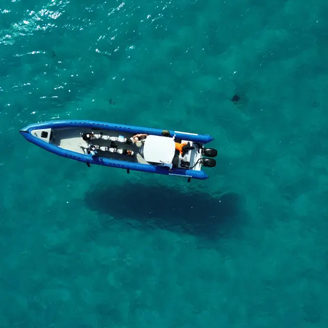 DJI_0800.JPG