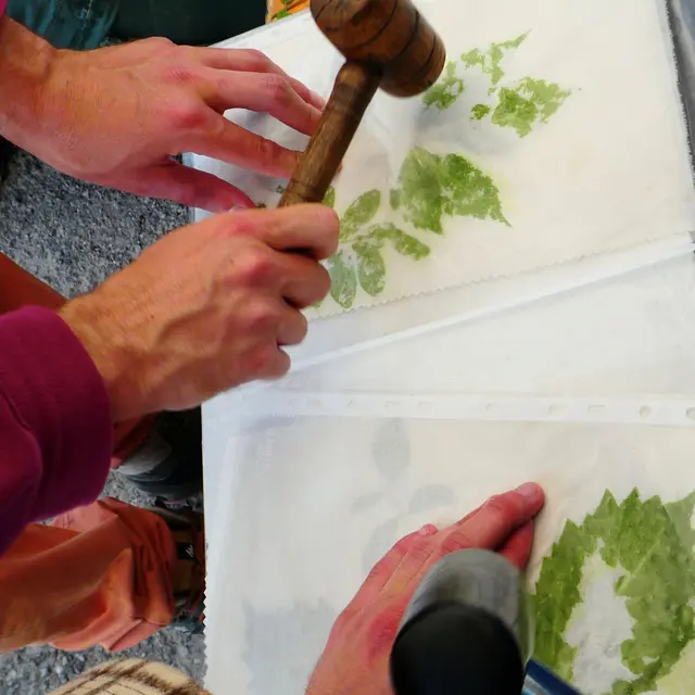 Teinture et impression végétale_Tende