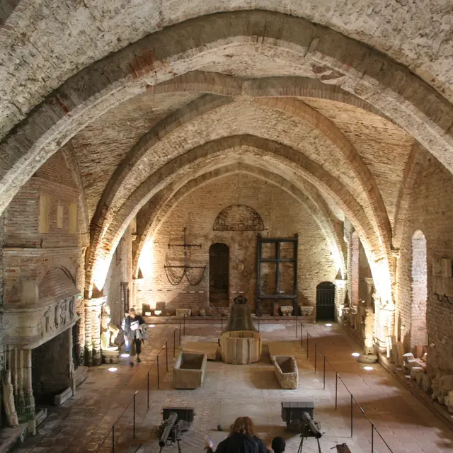Visite guidée - Destination archéologique_Montauban
