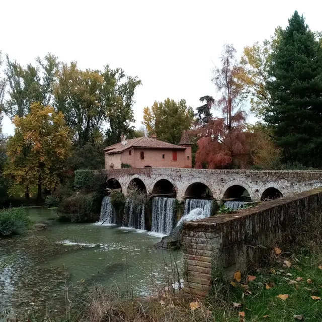 Le Moulin de la Théoule_Cordes-Tolosannes
