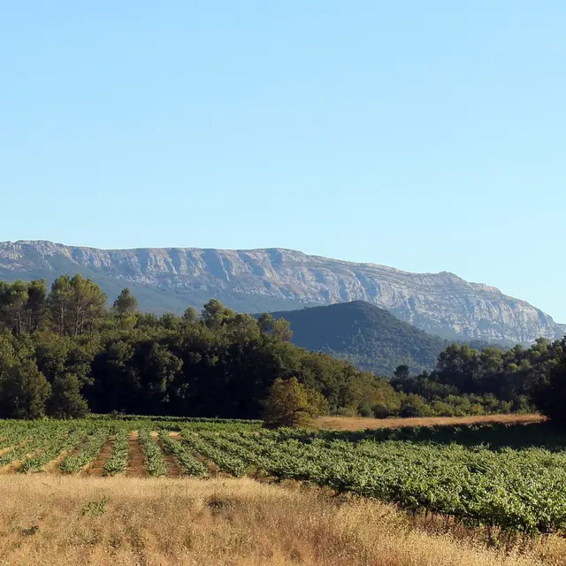 Domaine de la Batelière_Saint-Maximin-la-Sainte-Baume