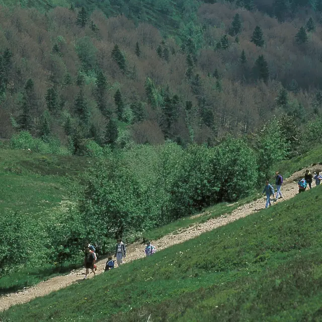 Randonnée des Ollagnes
