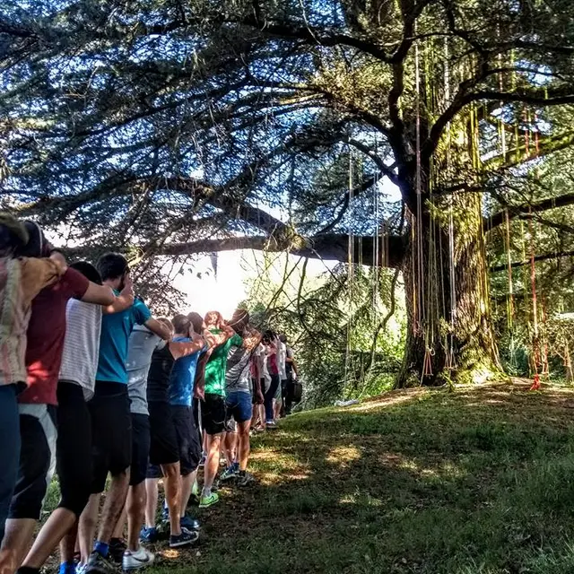 ARBATOU - Séminaire & Team Building