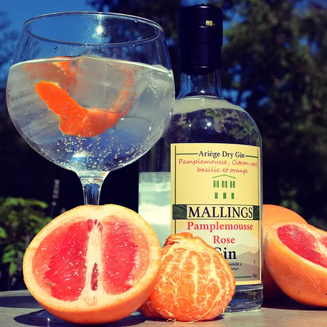 Gin