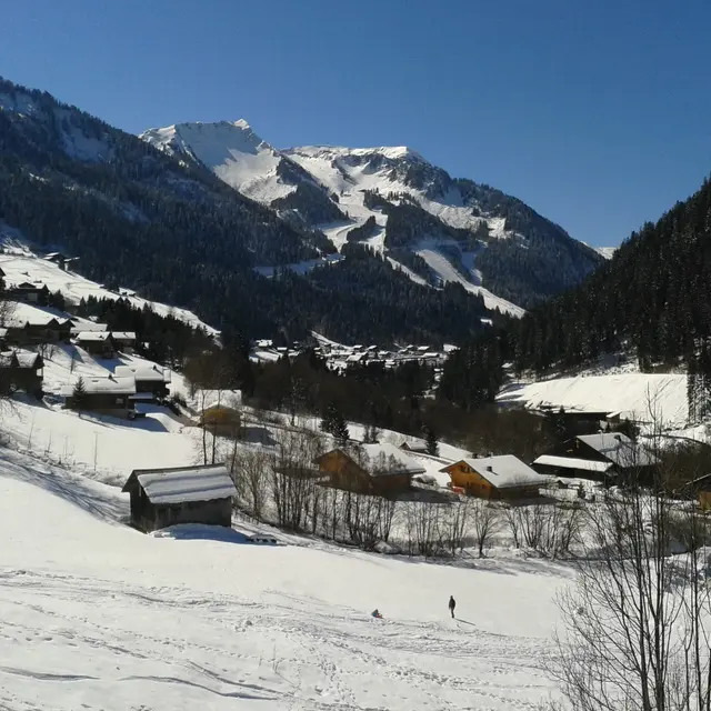 2 pièces - Chaumière des Neiges