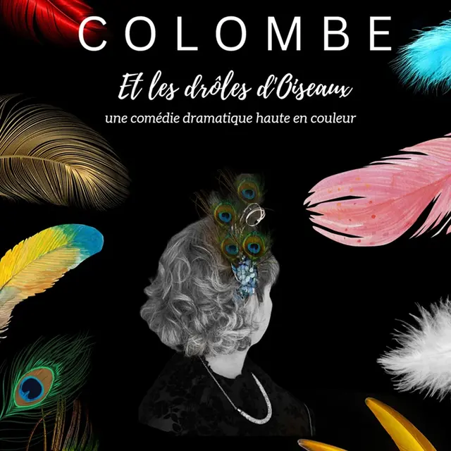 Colombe et les drôles d'oiseaux_Avignon