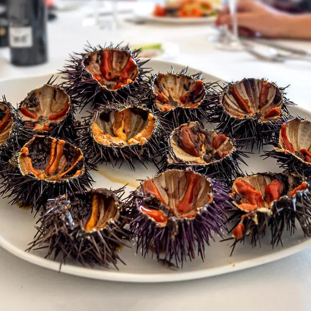 Calend'Arles au Forum : Oursinade_Arles