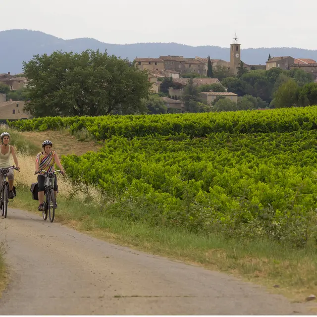 Festival Ventoux Saveurs - Balade gourmande à vélo_Puyméras