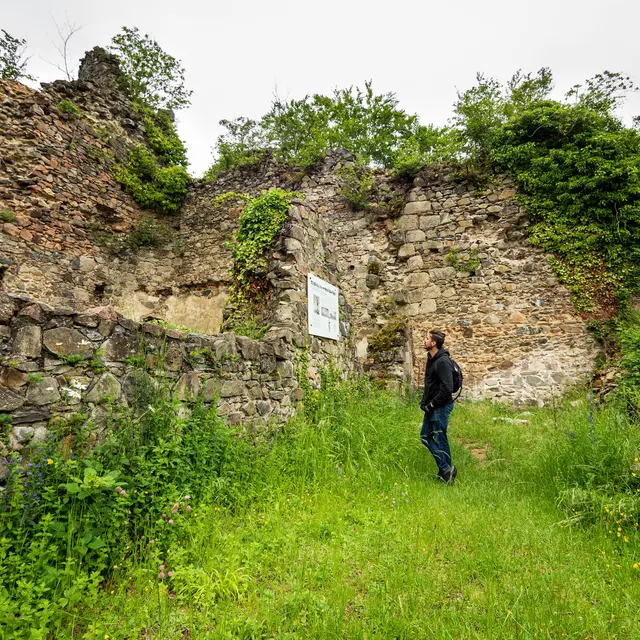 Château de Montgilbert à Ferrières-sur-Sichon