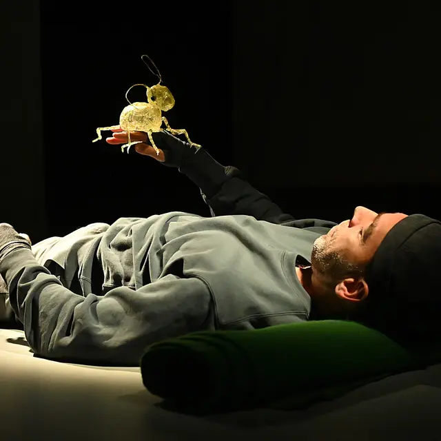 Théâtre des Collines - Minimus  Compagnie Le bruit des ombres_Annecy