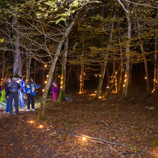 Ronde des sangliers à Saint Martin du Fresne