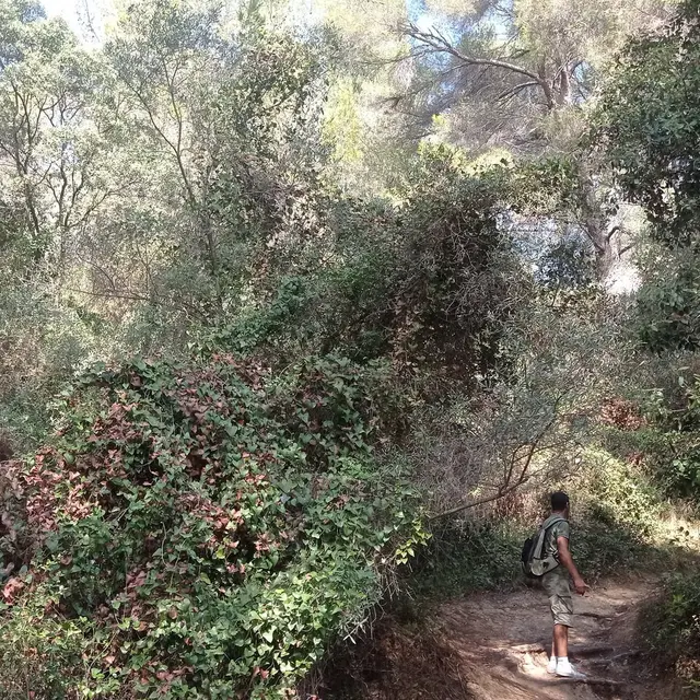 Les parcours du Grand Parc de Figuerolles_Martigues