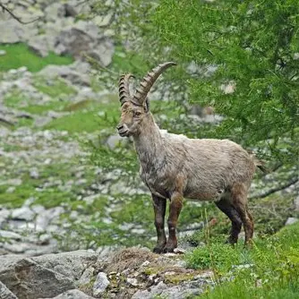 Col du Sabion