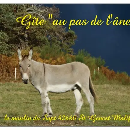 Gîte au pas de l'âne