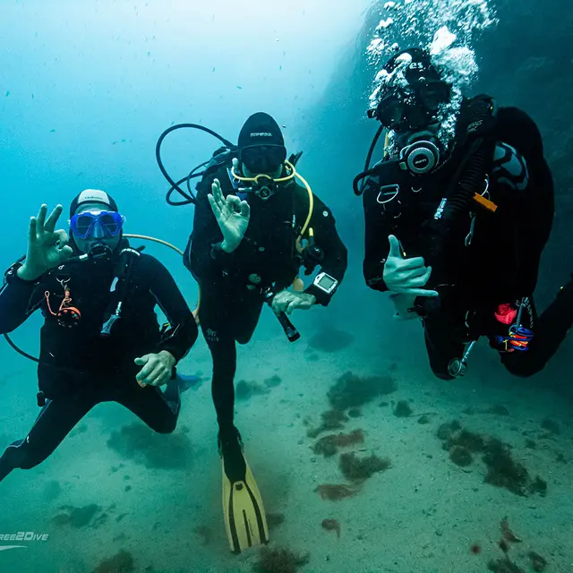 Be Free to Dive - Villeneuve-Loubet