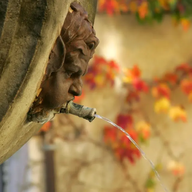 Conférence de Simon Porcher - Rendez-vous du Parc 2026_Vaison-la-Romaine
