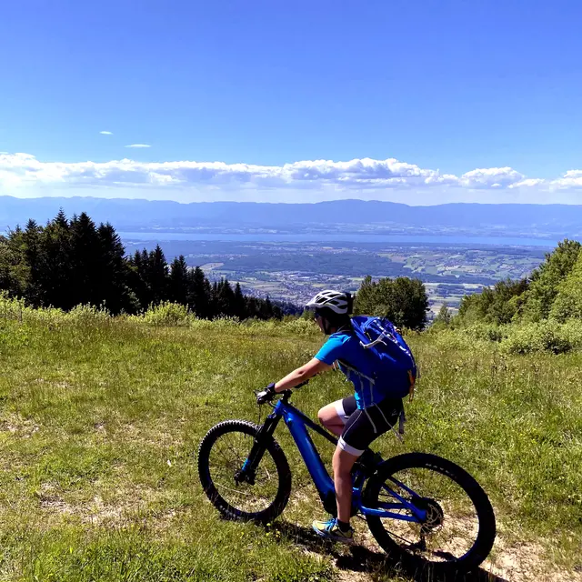 Carte Postale du Léman au Mont-Blanc
