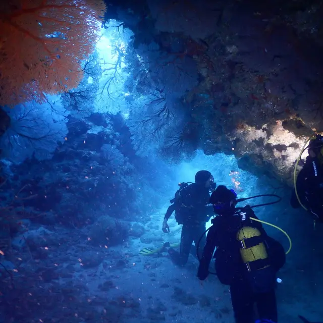 Plongée à Poindimié avec Tieti Diving