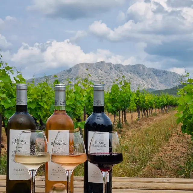 Château Henri Bonnaud_Le Tholonet