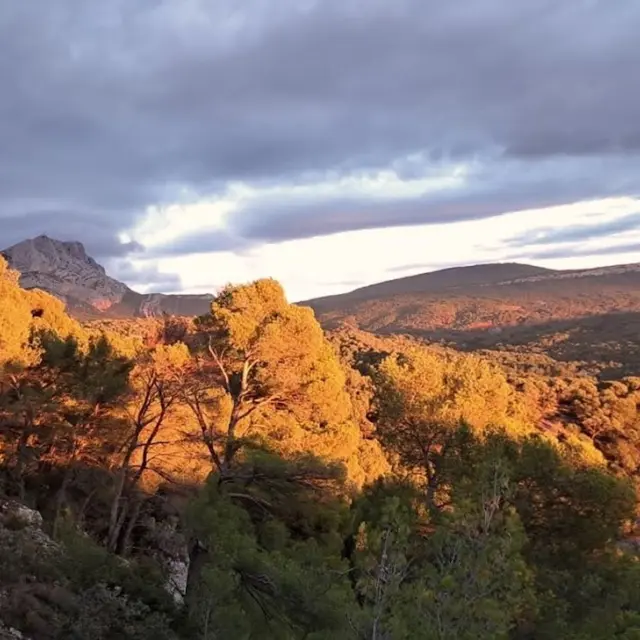 Un matin avec Cezanne à Bibémus_Aix-en-Provence