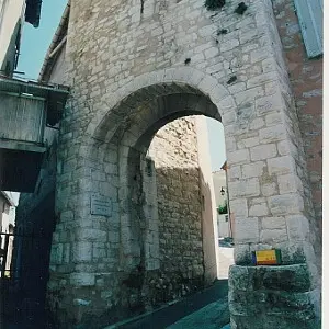 13T2001289_1_WEB.jpg