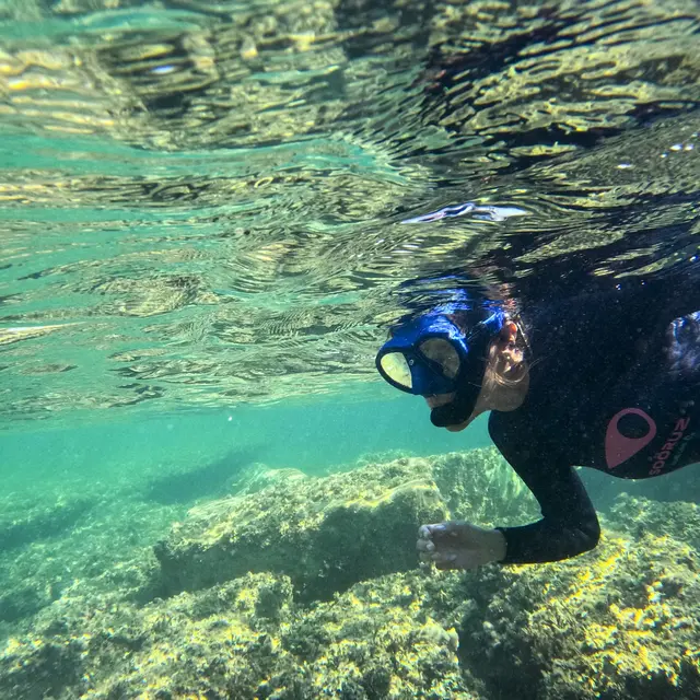 Nage palmée sur les vestiges d'Olbia_Hyères