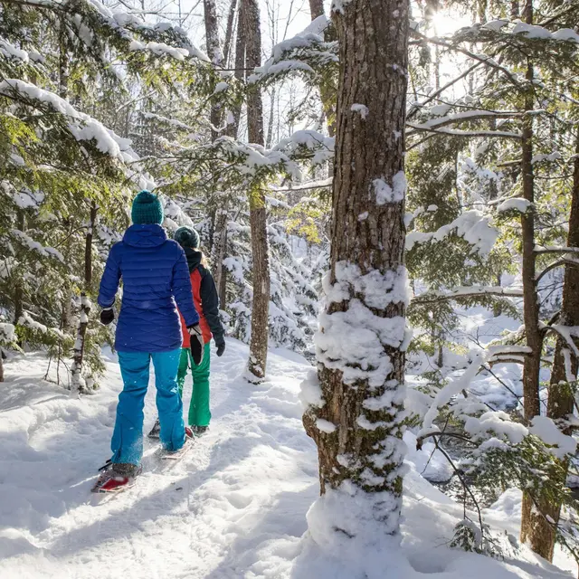 Raquettes -Compagnie des guides