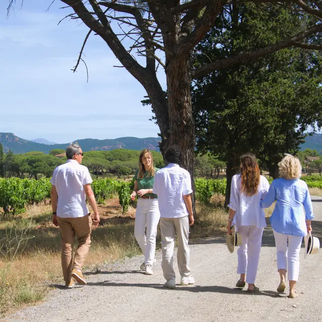 Wine Guide_Roquebrune-sur-Argens