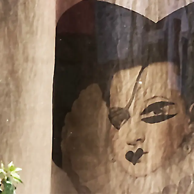 Maison des Loups_Caylus