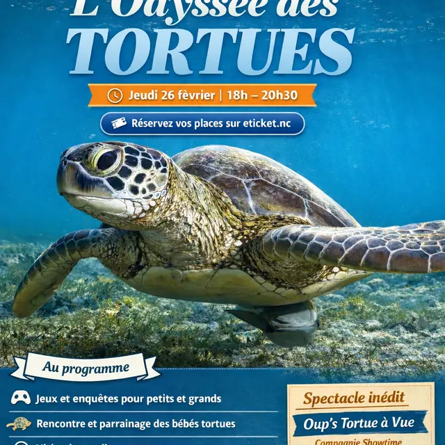 Nocturne tortues marins à l'aquarium_Nouméa