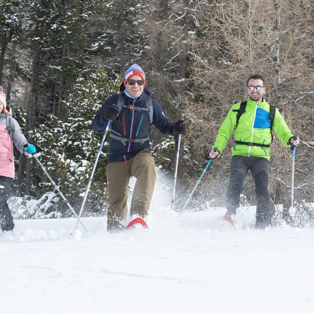 Pique-nique face à la Blanche - Facile 2km A/R_Seyne